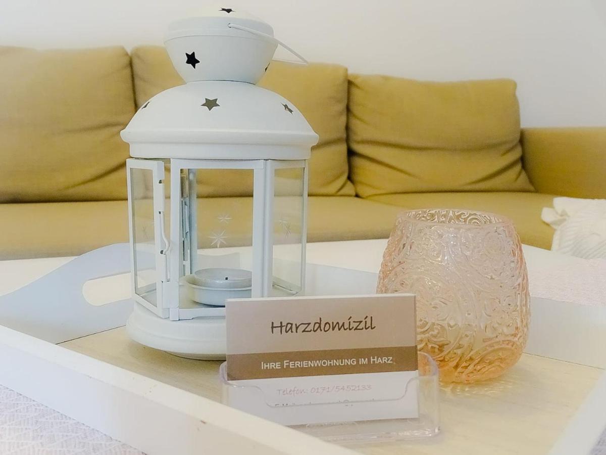 Ferienwohnung Harzdomizil جيرنروده هارتس المظهر الخارجي الصورة